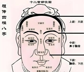 面相圖解：從面相能看出你該從事什么職業(yè)嗎