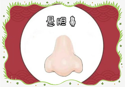 相學大全：什么是豬膽鼻