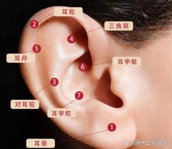 為什么耳朵軟的命好 貴人運佳則生活易大富大貴
