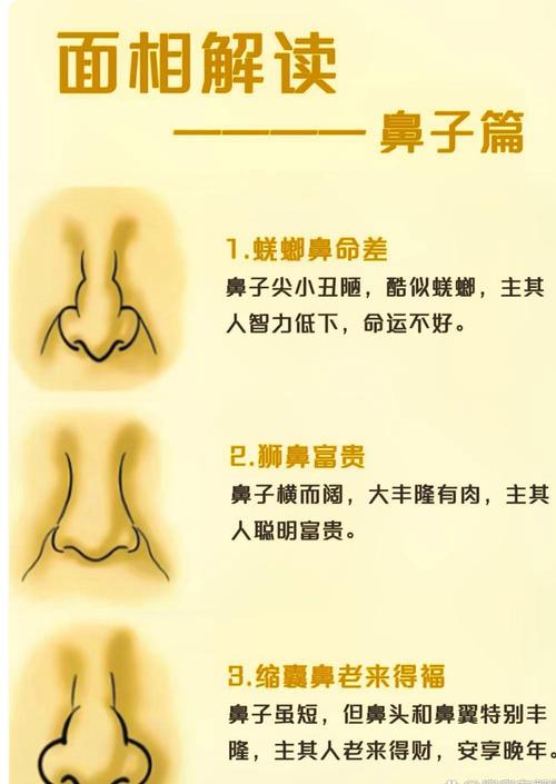 面相學鼻子圖解 鼻翼大面相學大全