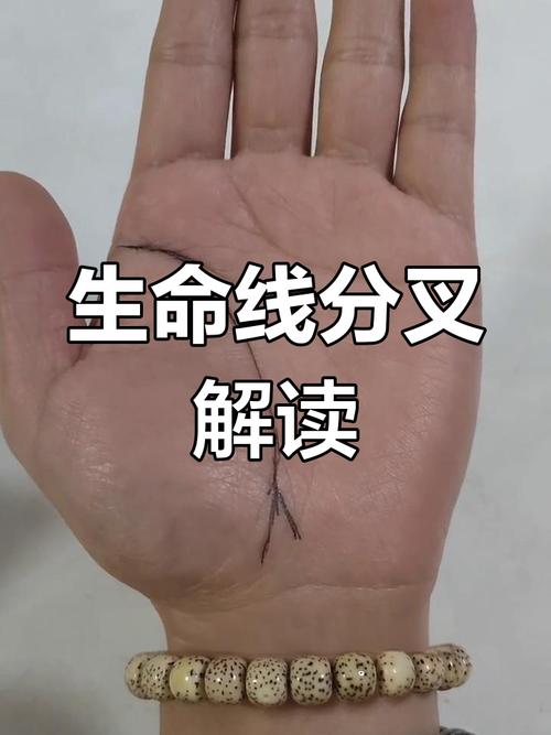 生命線分叉什么意思