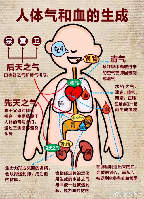 氣運讓人體有多少變化