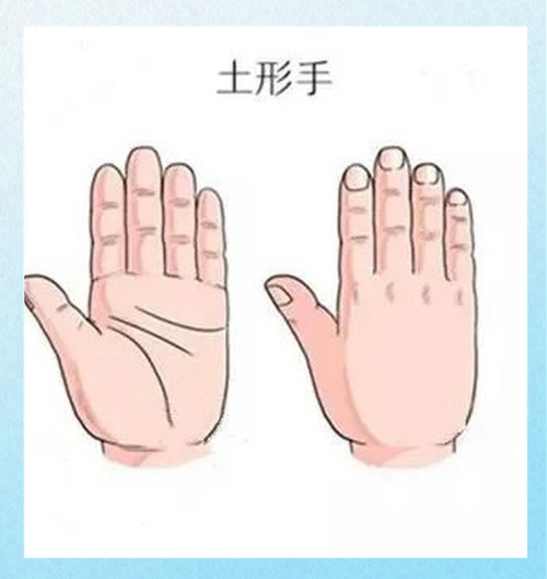 原始手是什么樣 原始手手型好嗎