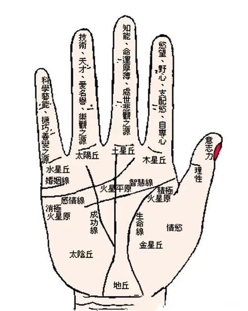 左手腕正中間有痣代表什么 左手腕正中間有痣解析