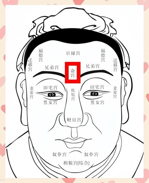 相學分析哪個部位小是貴人命