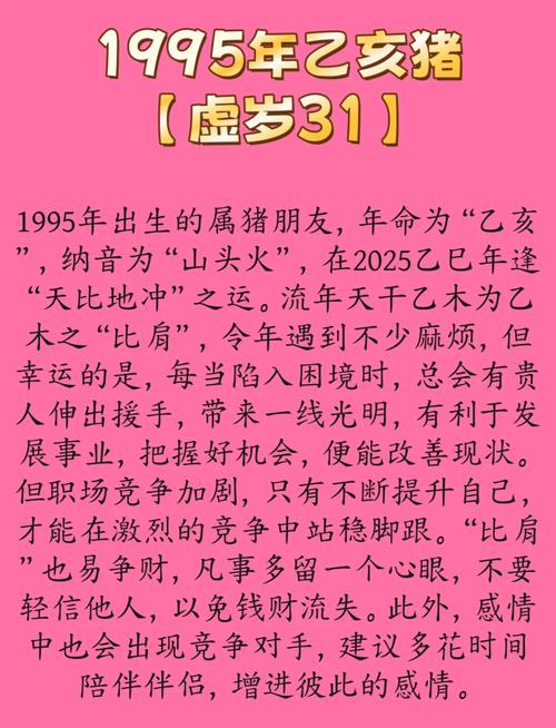 1995屬豬人的大運流年是什么