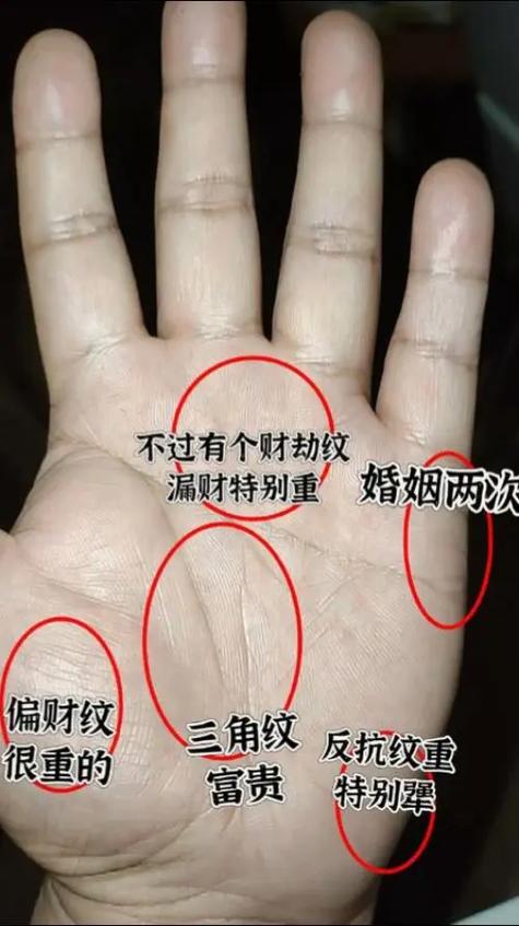 川字掌男人一生財運如何