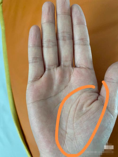 生命線有兩條手相怎么樣 雙生命線的女人好不好
