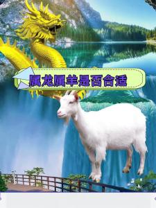 多看到對方優點 03年羊和00龍配嗎