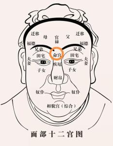 印堂面相 印堂有旋有什么說(shuō)法