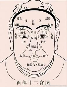 面相特征看你的進取能力