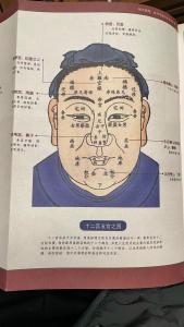相術解析你的官運好壞