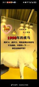 90年屬馬人一生最難熬的年紀 1990屬馬一生三大劫