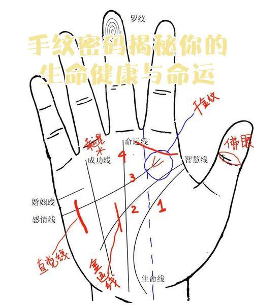 健康線穿過生命線的含義