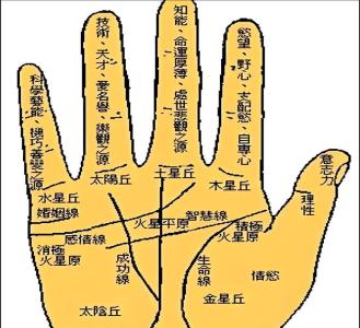 從手指看相