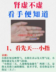 小拇指短代表什么含義?
