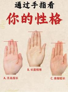 從手指的長短來看事業(yè)和命運(yùn)如何