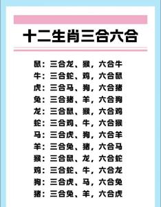 父母屬馬孩子屬兔好嗎 親子關系難和睦且存在矛盾分歧