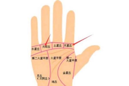 男人掌紋圖解左手 太陽丘隆起