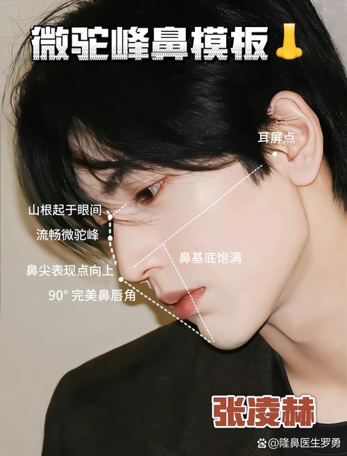 駝峰鼻的男人是什么性格 駝峰鼻的男人主動幫人