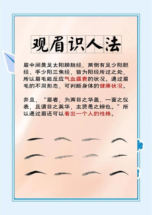 眉毛看相：從眉毛看一個人的健康狀況
