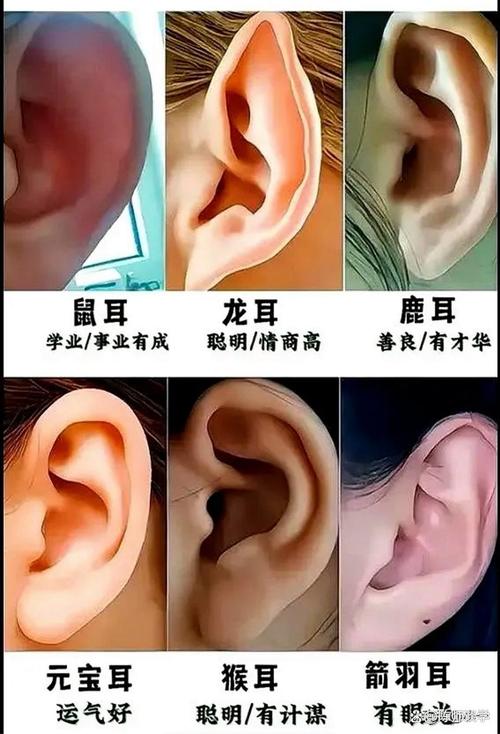 耳朵看相：耳朵肉厚的人性格及運勢