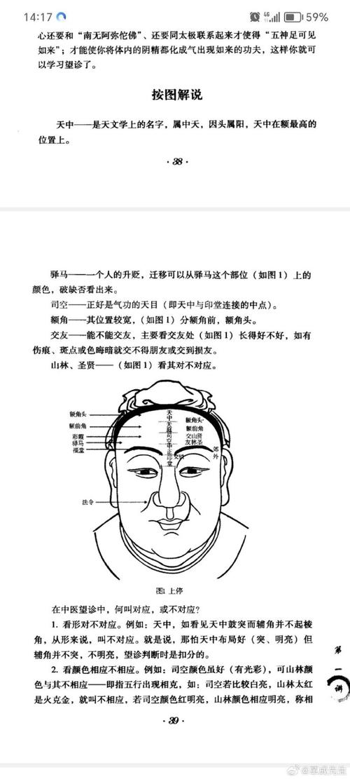 骨相圖解：伏犀骨