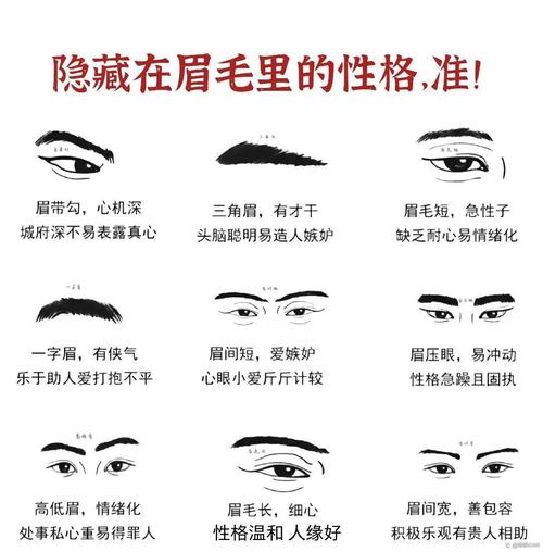 從眉毛看男人性格特征 不同眉型的性格
