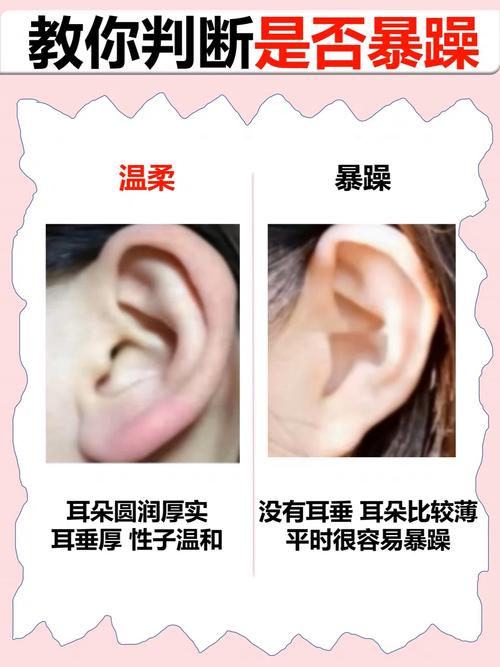 有耳垂和沒耳垂的區別 有耳垂和沒耳垂哪個好