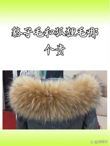 長在哪里的毛叫發財毛是富貴命