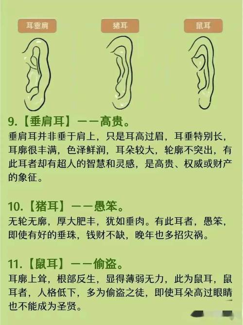 怎么看耳朵有福氣圖解 面相耳朵與命運(yùn)圖解