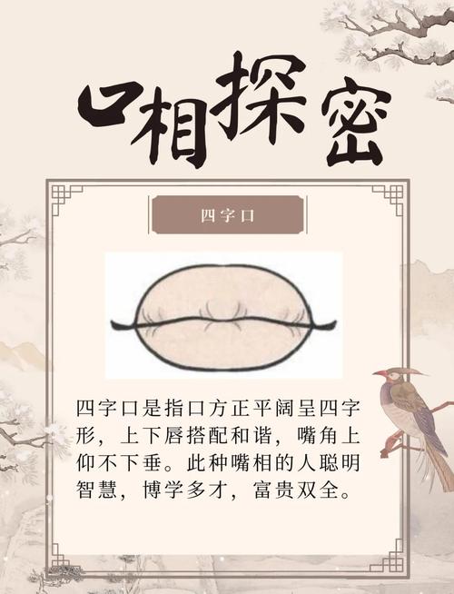 嘴形看相：虎口人的性格及運勢