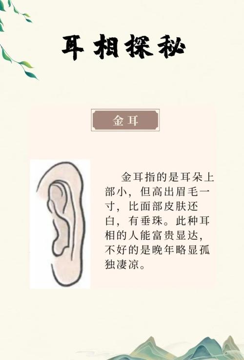 女人耳朵的形狀與命運 分析女人耳朵的形狀與命運的關系