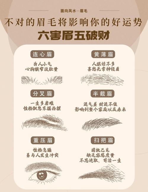 男人富貴眉毛看相圖解 新月眉財運好