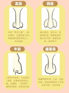 從鼻子特征看男人的愛(ài)情