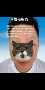 相學中眉毛稀少的人運勢