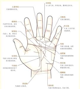 掌紋手相解析  手上川字紋怎么說