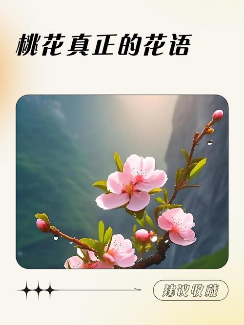情人節里催桃花