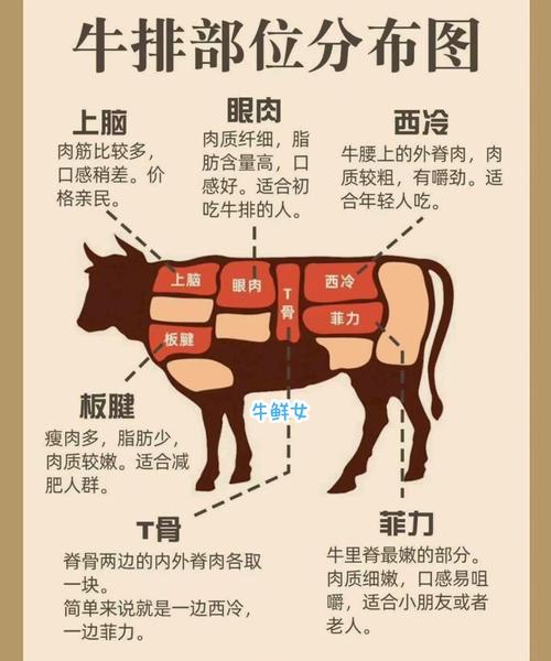 屬牛人的軟肋是什么 什么生肖壓制屬牛人