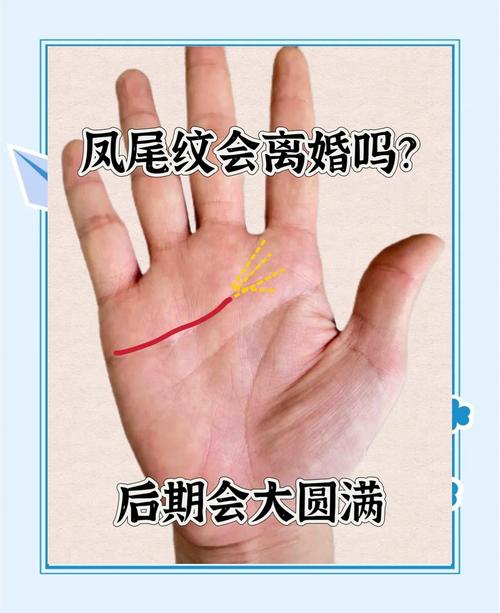 手握鳳尾紋必定富有