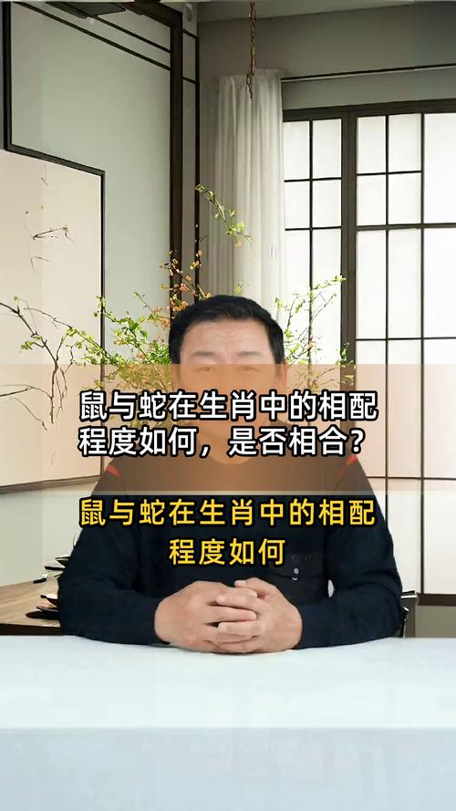 屬蛇和屬鼠姐弟好不好 婆婆生肖蛇媳婦生肖鼠合嗎