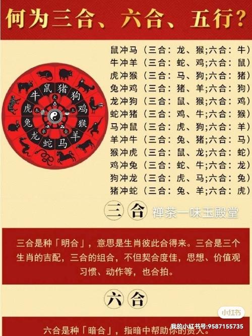 屬兔的三合生肖是什么