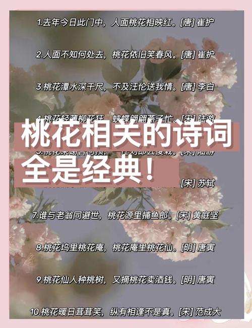 剩女催旺桃花運，先要選對桃花樓