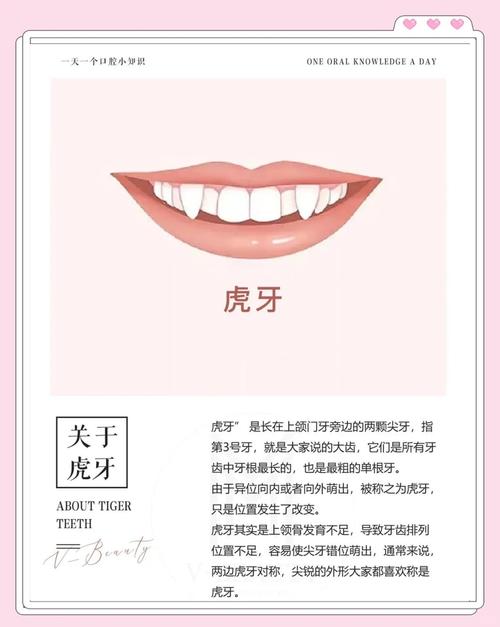 女孩長虎牙預(yù)示什么 牙齒面相解析