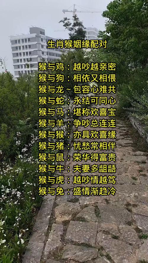 屬猴人婚姻配對表 屬猴正緣出現(xiàn)在哪年