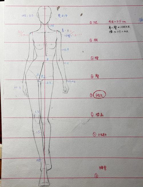 手臂長的人命運怎么樣