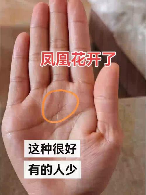 手相中有鳳尾紋就會(huì)離婚嗎