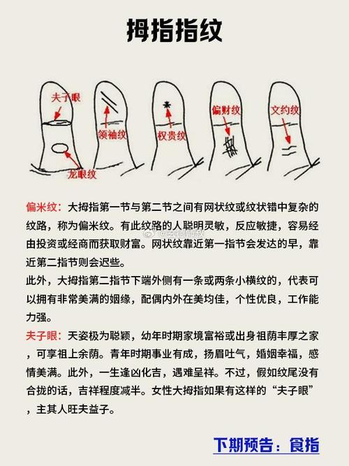 拇指怎么判斷運(yùn)勢(shì) 大拇指手相解析