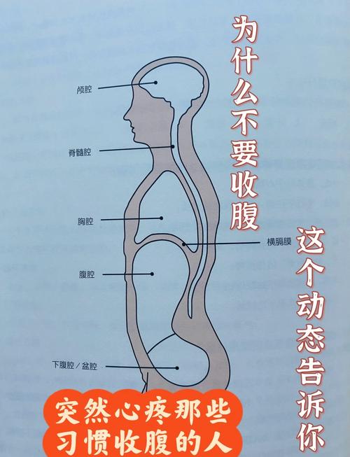 為什么腹墜的人會發達
