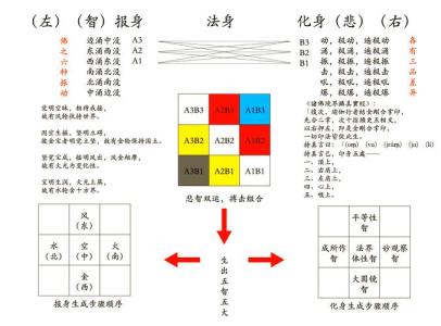 全新體相解析 了解更多資訊